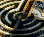 Gesellschaft für Gartenbau und Therapie - Therapeutische Arbeitsweisen