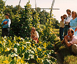 Gesellschaft für Gartenbau und Therapie - Termine