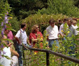 Gesellschaft für Gartenbau und Therapie - Wer wir sind